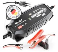 ABSINA Chargeur de Batterie Voiture 3,8 A pour Batteries Plomb 6V & 12V