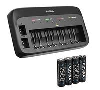 ABSINA Chargeur de batterie X10 pour AAA et 9 V - Chargeur NiMH à 10 compartiments avec 4 piles AA 2900 pour batteries rechargeables Micro AAA, Mignon AA et 9 V