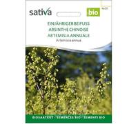 Absinthe Chinoise - Artemisia annua - Semences BIO