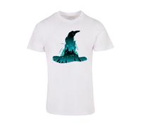 ABSOLUTE CULT T-Shirt 'Harry Potter' bleu / gris / blanc, Taille 4XL