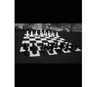 “Absolute Equilibrium” of Relativism in Bio-Stasis: How to Achieve Multilateral Wins in Complex Game Theory