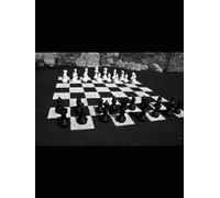 “Absolute Equilibrium” of Relativism in Bio-Stasis: How to Achieve Multilateral Wins in Complex Game Theory