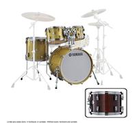 Absolute Hybrid Maple Fusion Fusion 20 Classic Walnut