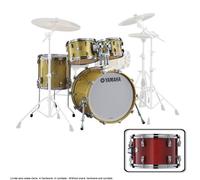 Absolute Hybrid Maple Rock 22 Red Autumn