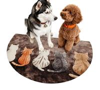 Absorbent Cat Floor Mat, Fast Dry Entrance Door Rug, 24x16in Soft Mat with Absorb, Velvet Fiber, Kitty Print Decorative Rug, Entry Home for Floor Use Matting