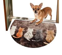Absorbent Door Mat, Muddy Indoor Rug, Decorative Porch Carpet, 24x16 inches Functional Entryway Pad for Details, Dirt Trapper for Home Kitchen Bathroom and High Traffic Areas Floor Protection