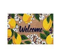 Absorbent Door Mat - Welcome Rug for Entryway | Soft Fabric with Washable Feature, Easy Cleaning Accessory, Room Decor Attachment, Indoor Floor Solution for Kitchen Bathroom