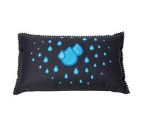 Absorbeur d'humidité pour voiture, 1 kg, WENKO