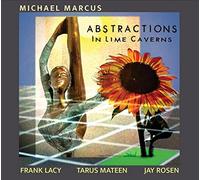 Abstractions in Lime Caverns