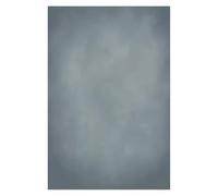 Abstrait dégradé Texture Portrait Toile de Fond Photographie Vintage rétro Couleur Unie Professionnel Photozone(Color06,Polyester 200x300cm)