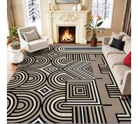 Abstrait Géométrique Lignes Arcs Concentriques Impression Salon Tapis | 160 x 230 cm, Multicolore Doux Antidérapant Moderne Minimaliste Style Tapis, Poil Ras Lavable pour Chambre, Couloir
