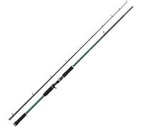 Abu Garcia Beast X Canne à Pêche Casting - Pêche du Carnassier au Leurre en Eau Douce - Brochet, Sandre, Perche, Truite, Canne en Carbone