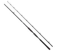 Abu Garcia Beast Pike 842XH – 40–140 g – Casting