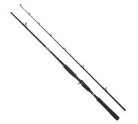 Abu Garcia Beast Pike 662HP 40-90g Jerkbait Casting