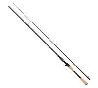 Abu Garcia Canne Baitcasting Rocksweeper