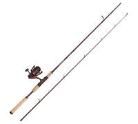 Abu Garcia Combo Spinning Tormentor2