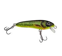 Abu Garcia Svartzonker McCelly leurre dur plongeant pour la pêche du brochet