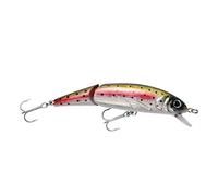 Abu Garcia Tormentor Jointed Leurre Flottant - Disponible en Plusieurs Tailles, idéal pour Les prédateurs d'eau Douce comme la Truite, Le brochet, Le Bar, Action réaliste, Truite Arc-en-Ciel 11 cm