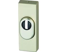 Abus 093906 RSZS316 F2 SB Bague de protection avec vérin, pour portes en métal, Champagne