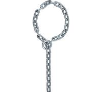 Abus 9KS + Loop, chaîne 250 cm Argent Argent