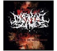 Darkall Slaves – Abysses of Seclusion