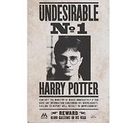 ABYSTYLE - HARRY POTTER - Poster « Indésirable n°1 » (91.5x61cm)
