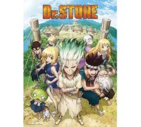 ABYstyle - Dr Stone - Poster - Groupe (52x38 cm)