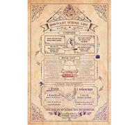 ABYstyle - HARRY POTTER - Poster « Liste d'école » roulé filmé (91.5x61cm)
