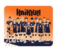 ABYSTYLE Tapis de la Marque modèle Haikyu!! Tappetino Mouse : Karasuno Team 24 x 20 cm