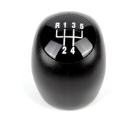 abywrpagg Compatible Avec Fiat Pour Ducato 1994 1995 1996 1997 1998 1999 2000 2001 2002 2003 2004 2005 2006 Pommeau De Levier De Vitesse À 5 Ou 6 Vitesses(5 SPEED)