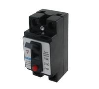 AC 110V 220V 15A 2P ELCB - Professionnel Disjoncteur de fuite