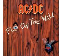 Fly On The Wall 50th Anniversary Édition Limitée Vinyle Or Vinyle