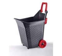 AC-Déco Chariot De Jardinage - L 59 X L 50 X H 72 Cm - Rouge Et Gris