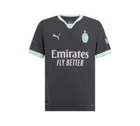 AC Milan Football Maillot de Course Third, Saison 2024/25, Technologie dryCell, Coupe Classique, Gris, S Adult-Unisex