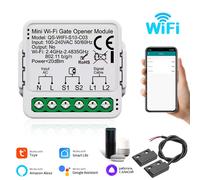 AC Tuya contrôleur d'ouverture de porte intelligente Module de commutateur de porte de Garage Wifi Zigbee vie intelligente Alexa Google Home Assistant Yandex - Type 2.4G Wifi version #B