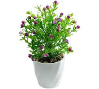 Acacia artificiel en plastique dans un petit pot pour bureau, 18 cm de haut, feuillage réaliste pour salon ou espace de travail (violet)