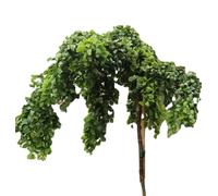 Acacia artificiel - Robinia Twisty Baby Tronc haut 120-140 cm résistant à l'hiver