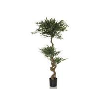 ACACIA - Plante artificielle Vert