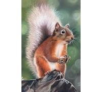 Academic Diary 2025-2026 week to view mid year student planner, with Red Squirrel artwork by Sally Sturgess: September 25 to August 26. 108 pages and ... Perfect gift for student or squirrel lover