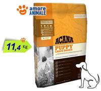 Acana Chien Heritage Puppy Grandes Breed 11.4 KG - Pour Chien Chiot Couper Grand