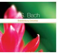 Acc.Magnifica Comuni - Bach: Brandenburg Concertos [Import]