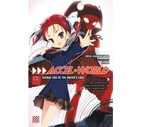 Accel World, Vol. 13 (light novel)