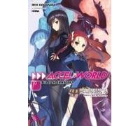 Accel World, Vol. 19 (light novel)