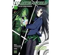 Accel World, Vol. 2 (Novel): The Red Storm Princess - [Version Originale] Inconnu (Auteur)