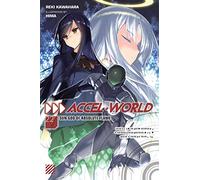 Accel World, Vol. 22 (light novel)