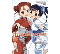 Accel World, Vol. 25 (light novel)