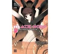 Accel World Vol. 6 Novel - Reki Kawahara - Little Brown amp Company - Livre en Anglais - Paperback Reki KawaharaReki Kawahara (Auteur)