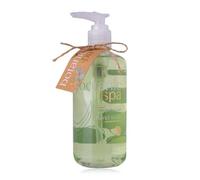 Accentra Botanic Spa Distributeur de Savon avec Savon pour Les Mains - Savon Liquide dans Distributeur décoratif à Pompe 290 ML - Parfum : Eucalyptus et citronnelle, idée Cadeau pour Femme, Maman et