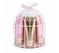 Accentra coffret bain WILD BERRY parfum vanille-canneberge cage à oiseaux | Set détente pour elle avec gel douche, lotion corps, crème mains et ongles, éponge filet, tons rose et or, rituel personnel