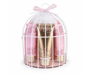 Accentra coffret bain WILD BERRY parfum vanille-canneberge cage à oiseaux | Set détente pour elle avec gel douche, lotion corps, crème mains et ongles, éponge filet, tons rose et or, rituel personnel